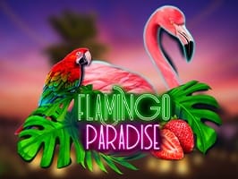 Flamingo paradise